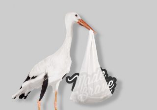 Stork carrying MadeBrave in a hamper