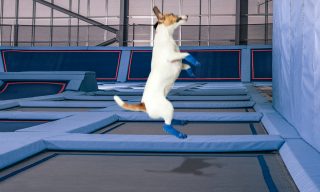 best april fools pranks