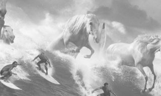 Guiness Surfer Ad by AMV BBDO Black and white photo of men surfing in the waves with horses