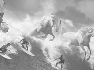 Guiness Surfer Ad by AMV BBDO Black and white photo of men surfing in the waves with horses