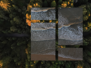 multi-frame drone shot of beach and forest