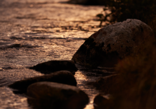 Photo of river in the morning light