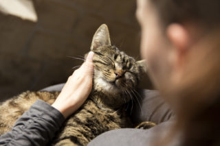 Woman cuddling with cat
