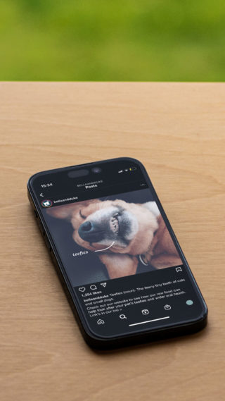 photo of a phone on a wooden table showing a mockup instagram post from 'a life well-loved' campaign